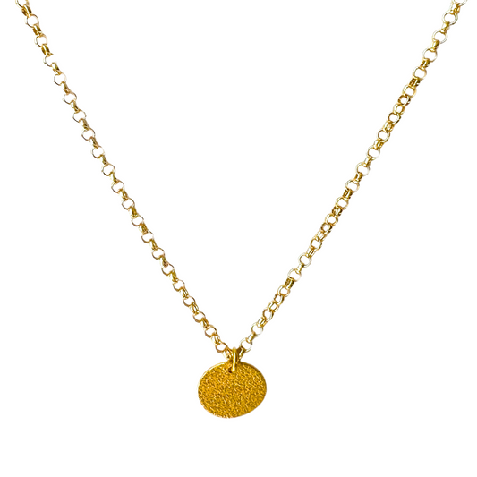 18K Gold 10mm Textured Disc Pendant on 14K Gold Rolo Chain